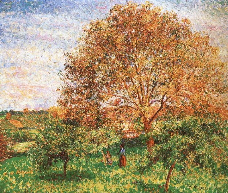 Camille Pissarro Red sky under the apple tree China oil painting art